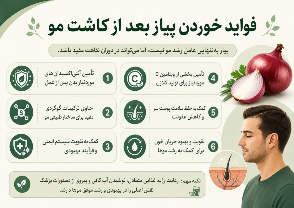 فواید خوردن پیاز بعد از کاشت مو